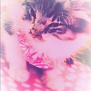 Meet your Posher, Becky